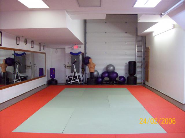 Dojo_Oct_2%2C_2010_013.jpg